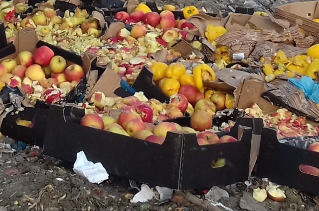 Полтонны яблок без документов уничтожили на тюменском полигоне ТБО