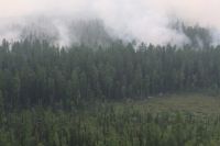 На территории края продолжает гореть 1 млн га леса. 