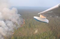 В крае действуют 129 очагов лесных пожаров.