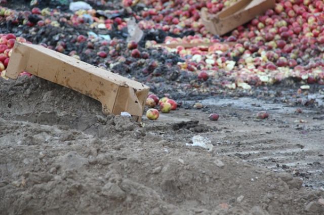 Более 200 кг яблок без сопроводительных документов уничтожили в Тюмени