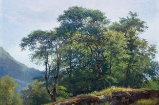 «Буковый лес в Швейцарии» И. И. Шишкина.