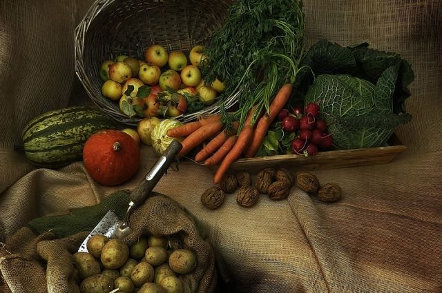 В Оренбурге в День города пройдут фестивали урожая и еды
