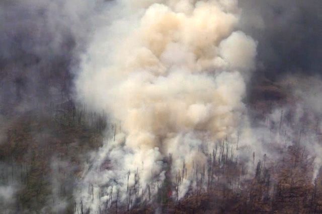 Лесные пожары в Иркутской области. 