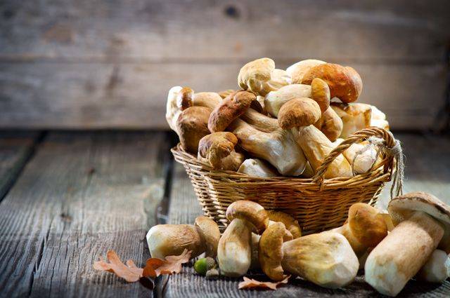 Как правильно приготовить свежие белые грибы: готовим будто профессионалы