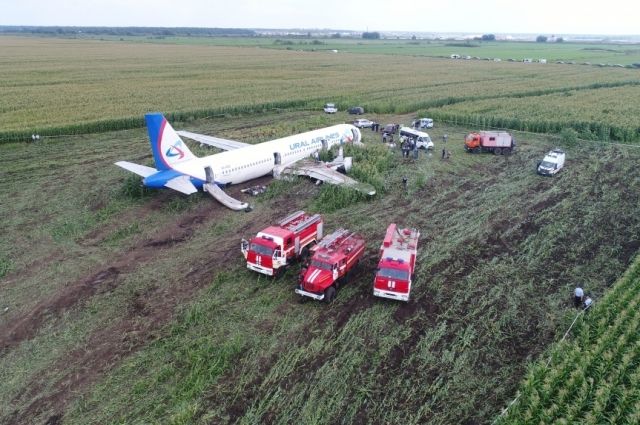 15 августа командир экипажа Airbus смог посадить терпевшее крушение воздушное судно посреди кукурузного поля в Раменском районе Московской области.