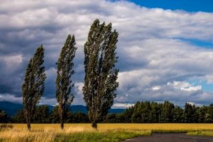 21 августа: праздник, день ангела, кто родился, приметы, обычаи