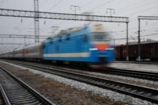 «Спасала собаку»: В Житомире поезд сбил ребенка