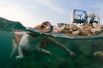 Девушка и ее собака участвуют в заплыве Underdog в Цриквенице, Хорватия.