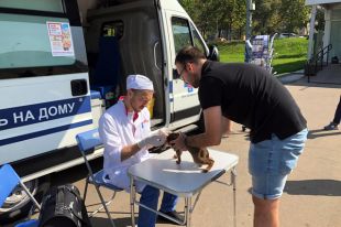 Всего ветеринары приняли более 1000 питомцев.