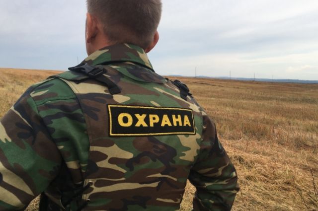 На поле гречихи в Бийск выставили частную охрану |  ОБЩЕСТВО |  АиФ Барнаул