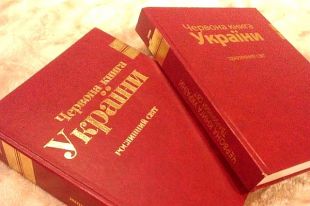 На грани. Каких животных и птиц можем потерять в ближайшие годы
