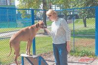 Жительница Татьяна со своим питомцем Нэшвиллом гуляет на новой площадке два раза в день.