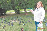 Галина Крылова каждый день навещает своих любимцев – голубей. 