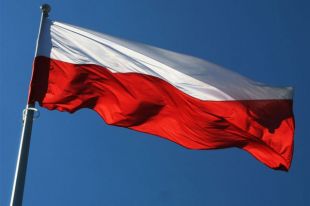 В Польше прокомментировали эксгумацию польских граждан погибших в Украине