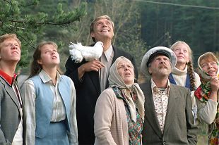 «Любовь и голуби».