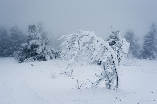 В поселке Сабетта Ямальского района бушевал настоящий зимний буран