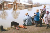 Многие пенсионеры Нижнеудинска этим летом из-за наводнения остались без урожая.