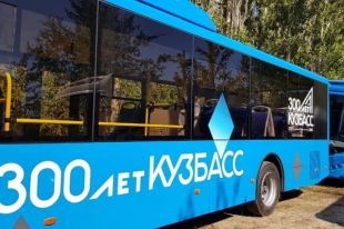 Новые автобусы заменят вышедшие из строя на маршрутах муниципального транспорта.