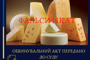 Будет суд: в детские сады Черновцов поставляли фальсифицированный сыр
