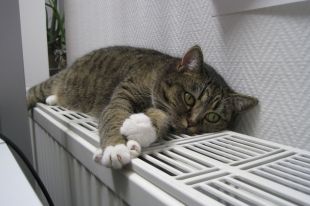 Тепло есть в 99,2% жилых домов в Перми.