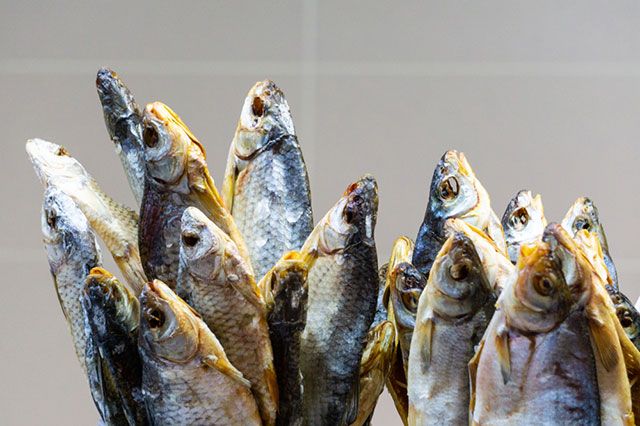 Как правильно солить и сушить рыбу