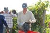 С женщинами работают и мужчины. Сборщик винограда за смену собирает от 200 до 400 кг ягоды.