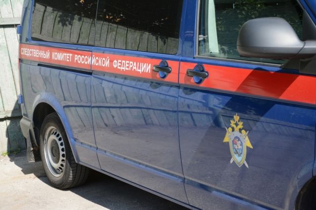 Обвиняемую в убийстве ребенка в Заводоуковске заключили под стражу