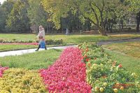 В следующем году в Парке 50-летия Октября цветов будет ещё больше. 