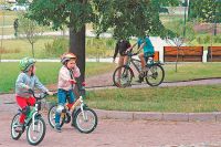 В парке создана сеть дорожек для велосипедистов.