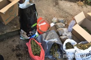 В Одесской области разоблачили местного жителя в выращивании конопли