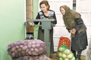 Урожай-2019. Каких цен на овощи и фрукты ждать зимой