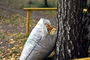 Субботник пройдет 12 октября
