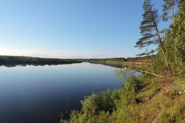 В Курской области расчистят 17 километров устья реки Сейм
