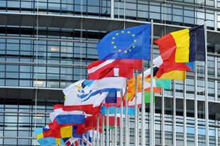 Иностранные дипломаты обратились к Разумкову по поводу земельной реформы
