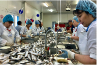 В ЯНАО определили лучших обработчиков рыбы