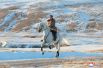 Лидер КНДР Ким Чен Ын скачет верхом на лошади на горе Пэктусан. 