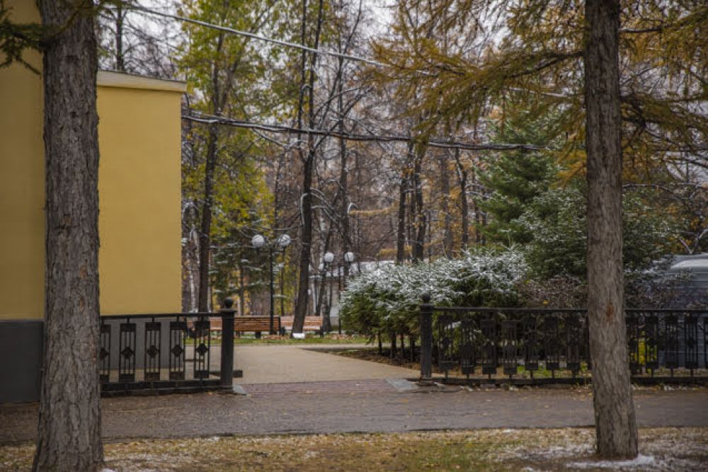 Снег слегка припорошил зеленые хвойные деревья, как бы напоминая горожанам о приближении зимы, а также всеми любимого и самого веселого зимнего праздника — Нового года.
