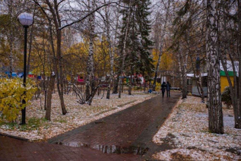 Аллеи парков города в снегопад стали выглядят еще романтичнее, а потому привлекают любителей прогуляться вдвоем.