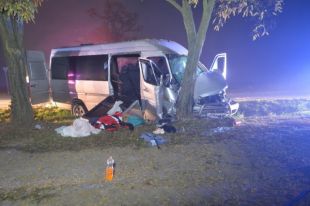 В Венгрии автобус врезался в дерево, 10 пострадавших, среди них - украинцы