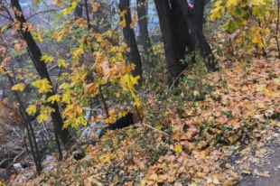 Возле «поплавка» - университета культуры повесился молодой парень: детали