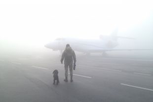 Ухудшение погоды: в Киеве отменили несколько рейсов