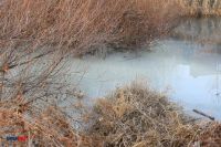 В Орске вода в реке Елшанка стала молочного цвета. 