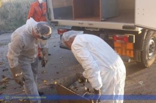 В Одесской области нашли радиоактивные предметы: причина