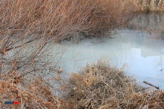 Названа предварительная причина изменения цвета воды в реке Елшанка.
