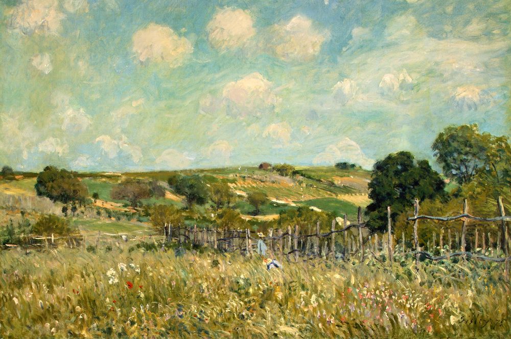 Луг. 1875.