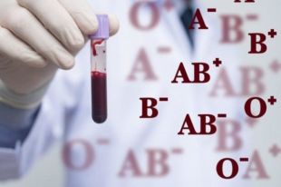 Группа крови вписывается в водительское удостоверение: нововведение МВД