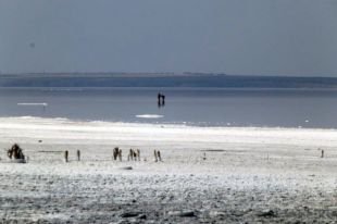 Спасение природы: под Одессой массово зарыбливают водоемы и лиманы