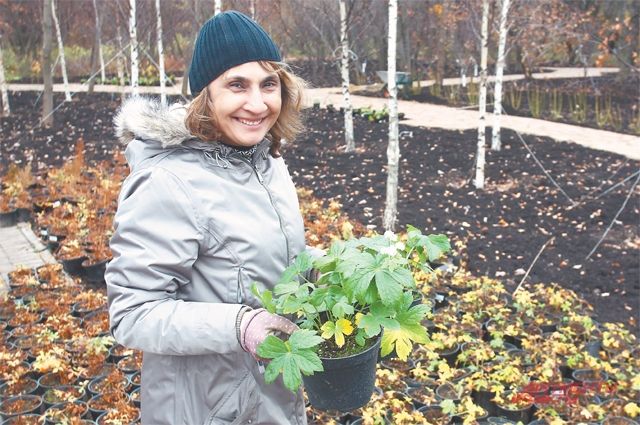 В посадках могли принять участие жители района. 