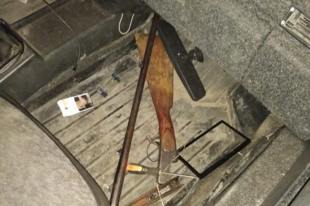 В Ташлинском районе охотник незаконно отстрелил двух косуль.