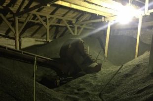 Под Кувандыком на элеваторе погибла женщина.